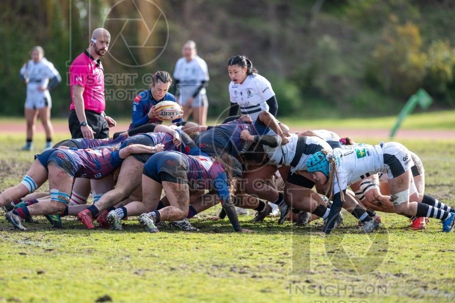 RUGBY MAJADAHONDA VS COLONIA CLINIC EL SALVADOR