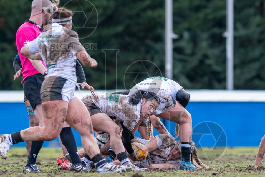 RUGBY MAJADAHONDA VS COLONIA CLINIC EL SALVADOR