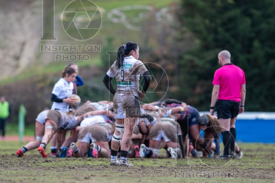 RUGBY MAJADAHONDA VS COLONIA CLINIC EL SALVADOR