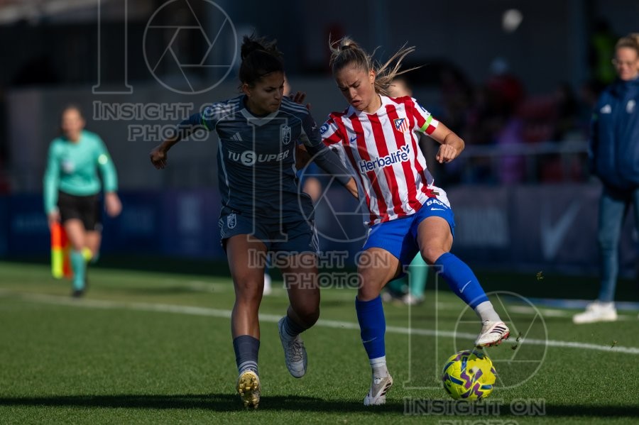 ATLÉTICO DE MADRID VS GRANADA CF