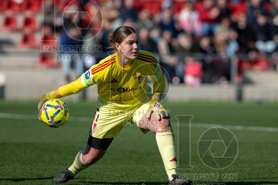 ATLÉTICO DE MADRID VS GRANADA CF