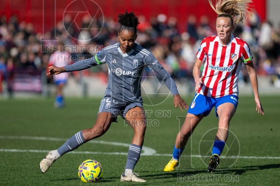 ATLÉTICO DE MADRID VS GRANADA CF