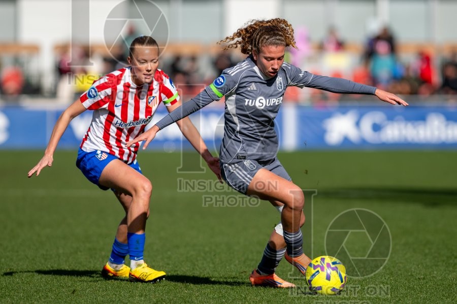 ATLÉTICO DE MADRID VS GRANADA CF