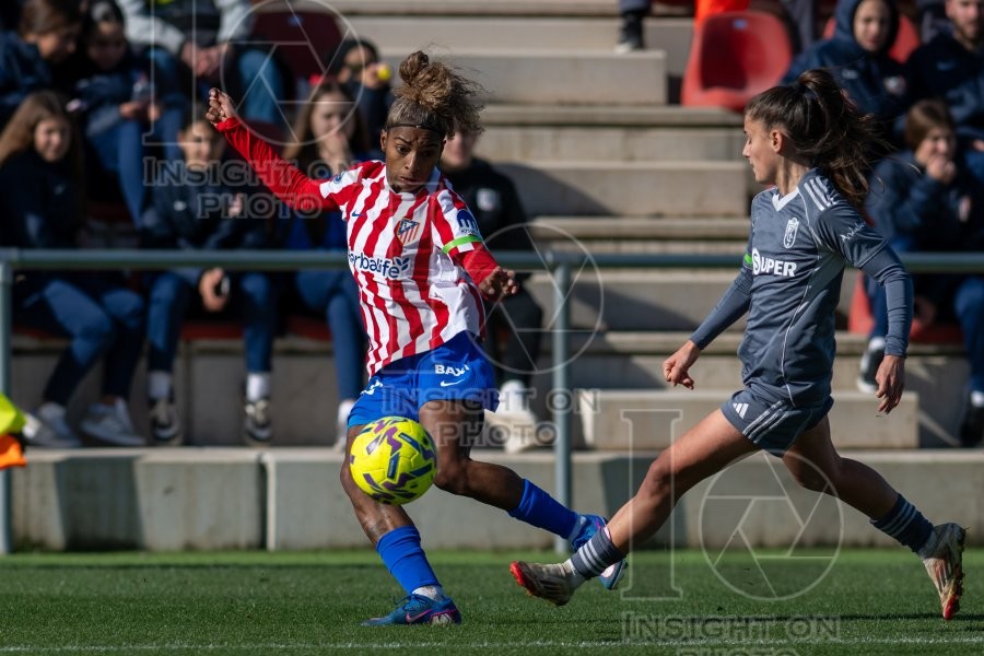 ATLÉTICO DE MADRID VS GRANADA CF