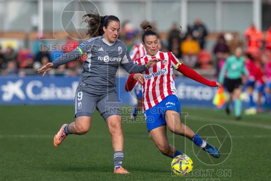 ATLÉTICO DE MADRID VS GRANADA CF