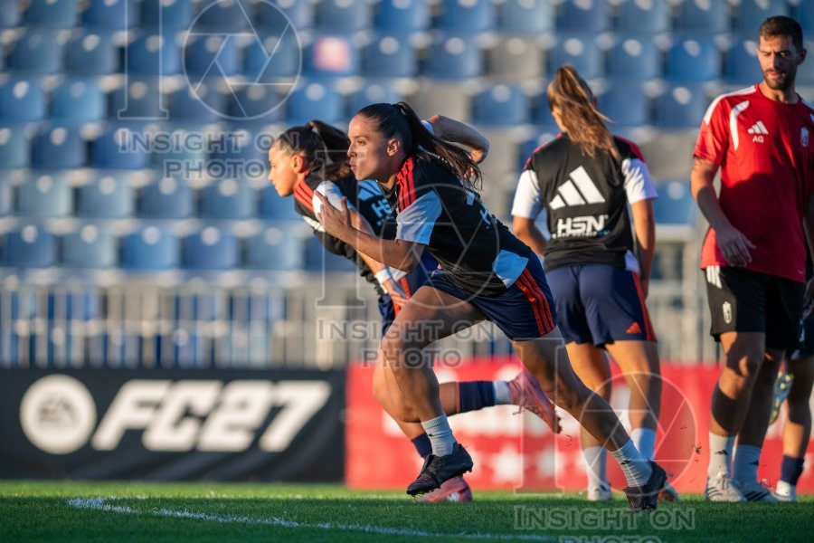 MADRID CFF VS GRANADA CF