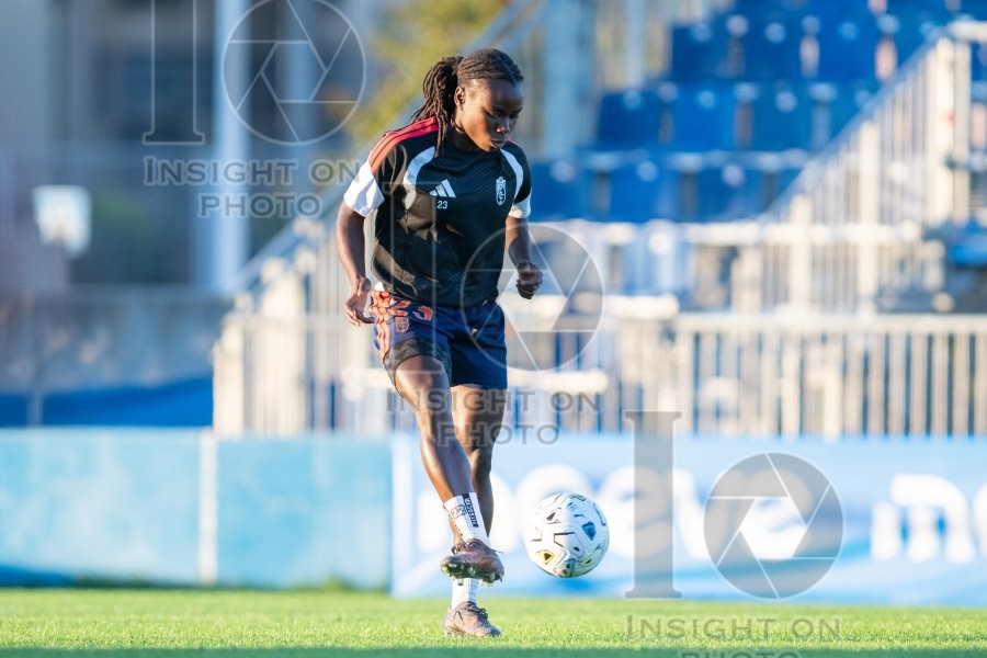 MADRID CFF VS GRANADA CF